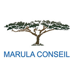 Mareil conseil